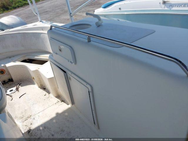 World Cat Other Image 11