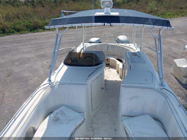 World Cat Other Image 12