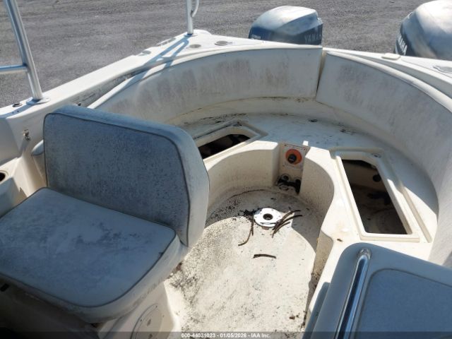 World Cat Other Image 17