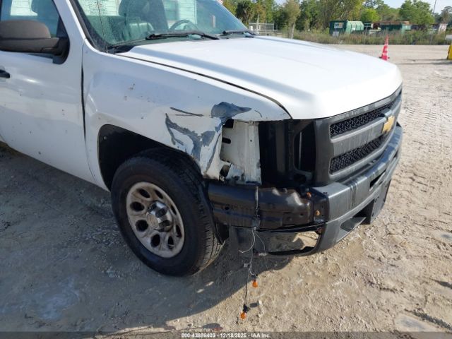 Chevrolet Silverado 1500 Work Truck Image 5