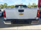 Chevrolet Silverado 1500 Work Truck Image 11