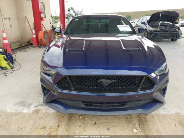 Ford Mustang Ecoboost Image 6