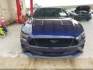 Ford Mustang Ecoboost Image 6
